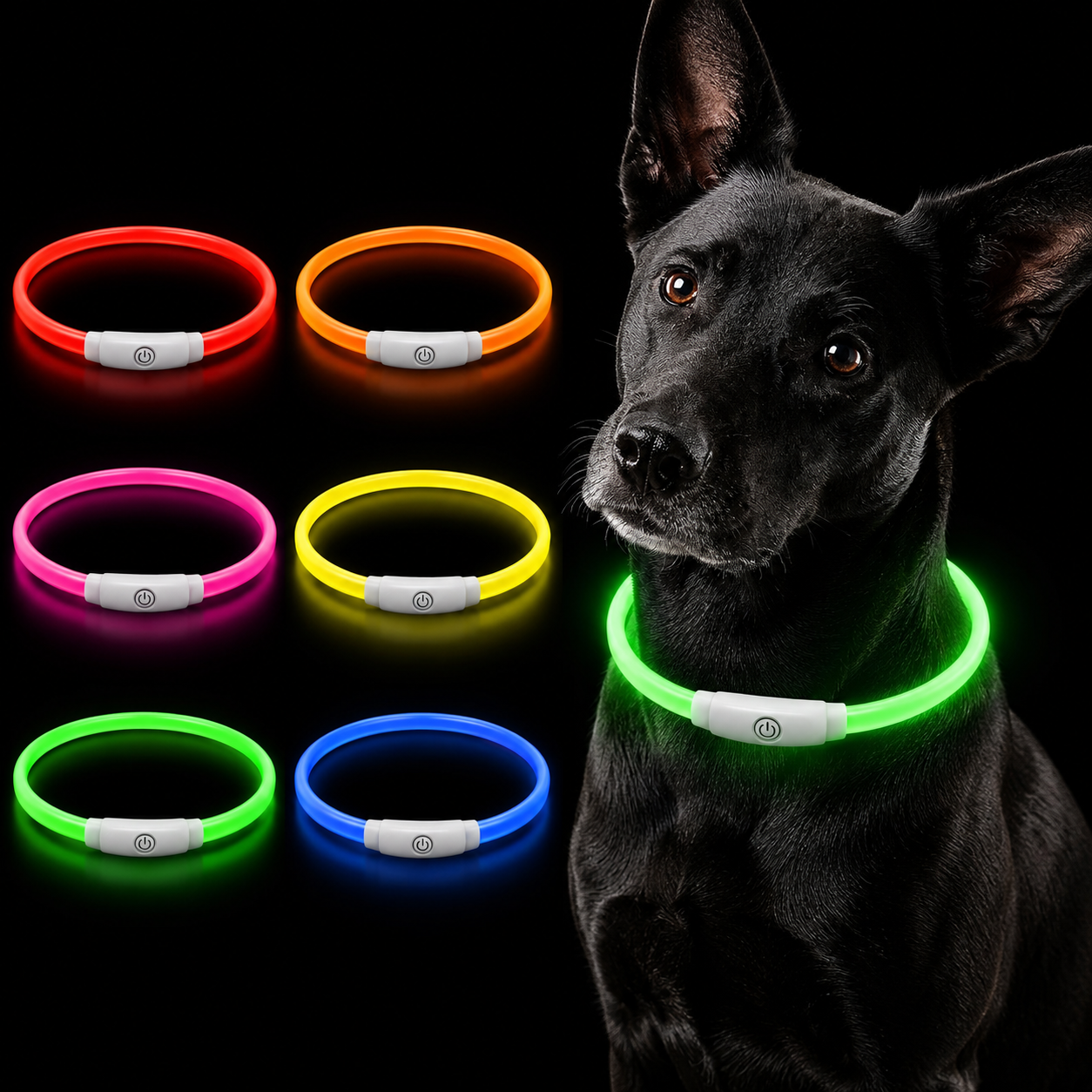 Dog wearing a green LED collar with glowing collars in various colors on a black background.