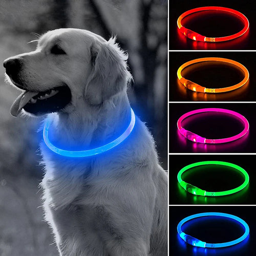 HaloHound-Collar